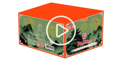 Dragon Fireworks China Funke 2