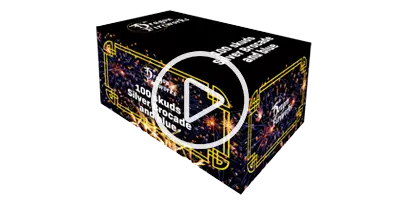 Dragon Fireworks 2077
